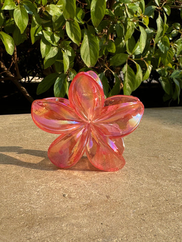 Melon Flower Clips