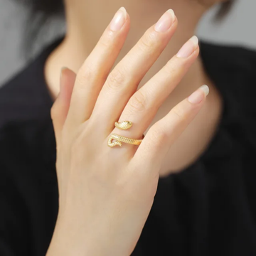 Long Snake Ring